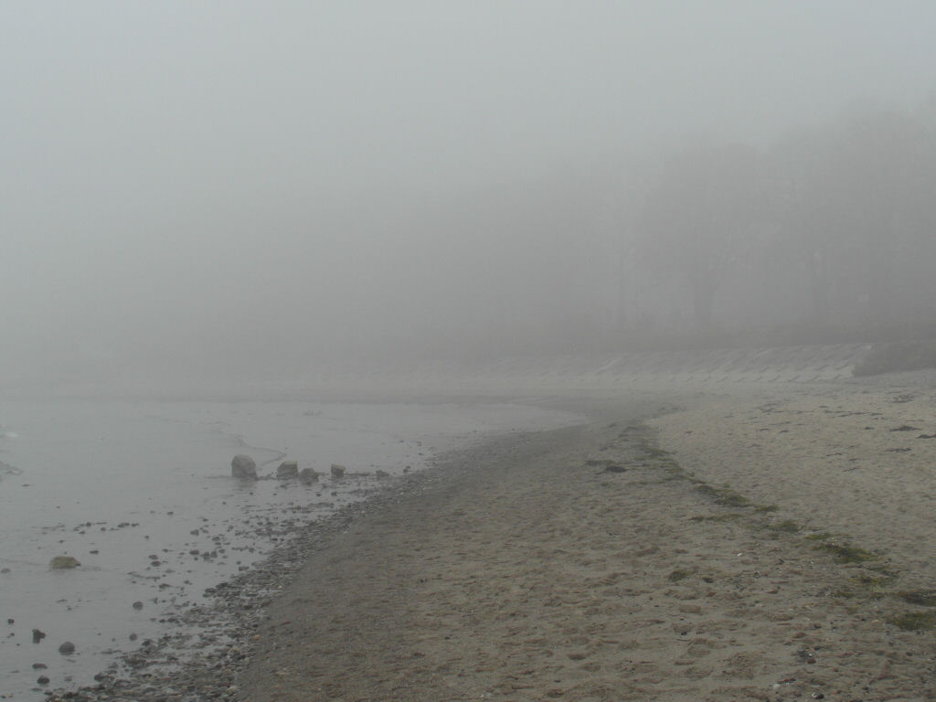 Strandlandschaft im Nebel
